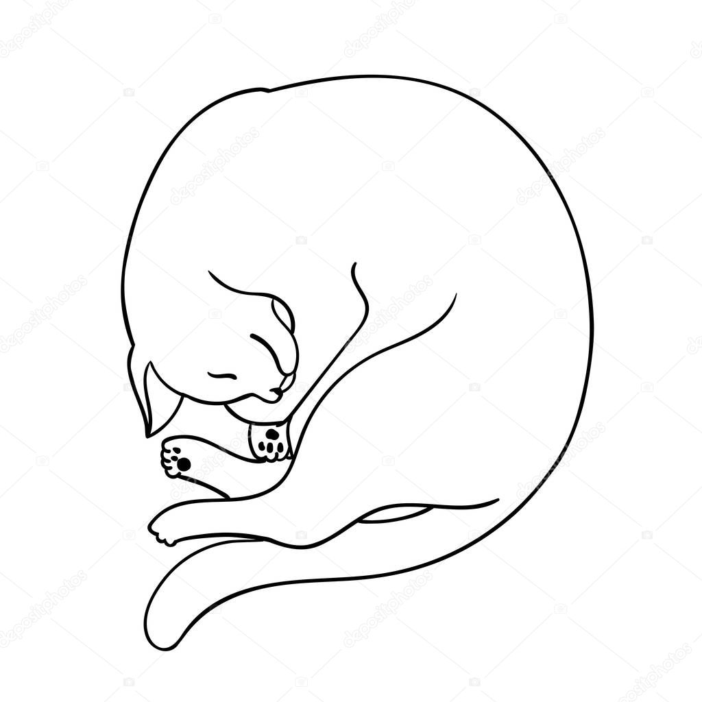 Vector sleep cat. Dark tattoo illustration. For your design logo, invitation, party, paper, pattern and etc