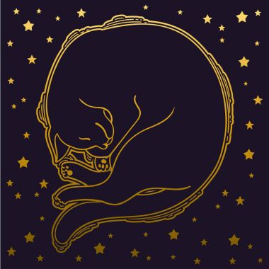 Vektör uyku kedi. Karanlık dövme illüstrasyon. Tasarım logo, davet, parti, kağıt, desen ve vb için