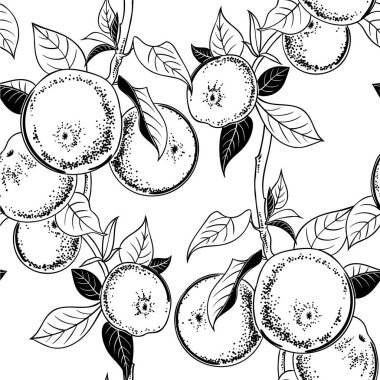Şube, elma ve elma ağacı yaprak ile Seamless modeli. Vektör çizim sanat. El çizimi.