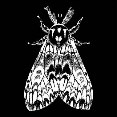 El çizimi güzel güve çekilmiş. Vektör illüstrasyon izole. Fantezi, büyü, dövme sanat, yazdırır.