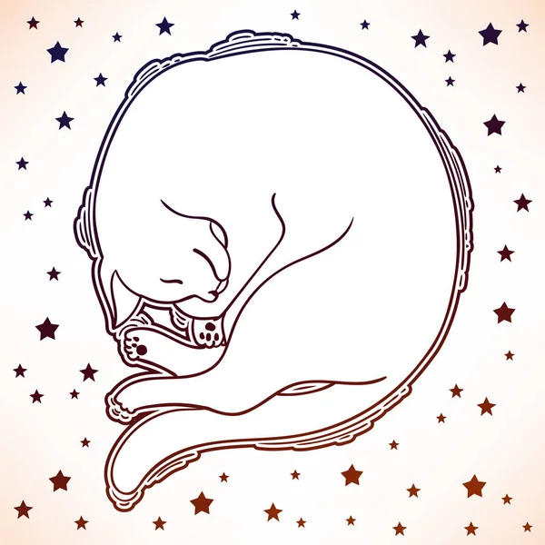 ベクトル睡眠猫 暗い入れ墨の図 デザインのロゴ 招待状 パーティー パターンなどに — ストックベクタ