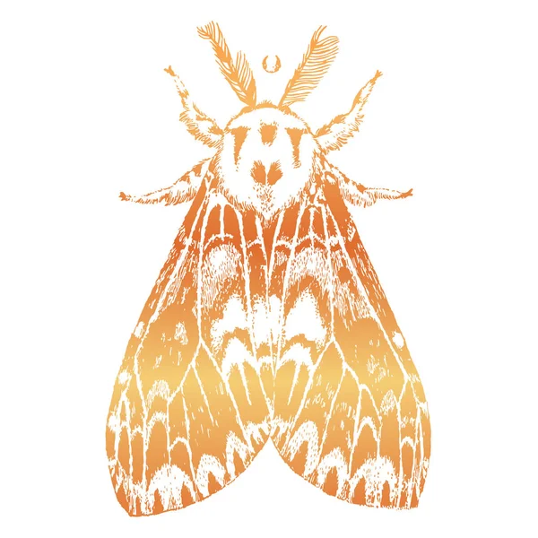 Рука Намальована Ілюстрація Красивого Метелика Ізольовані Векторні Ілюстрації Фентезі Окультизм — стоковий вектор