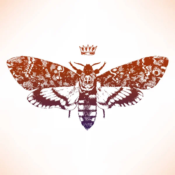 Ručně Tažené Ilustrace Krásný Motýl Izolované Vektorové Ilustrace Fantazie Okultismus — Stockový vektor
