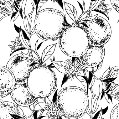 Portakal ağacı dalları Dikişsiz desen vektör Illustration. Vintage botanik el çizilen illüstrasyon