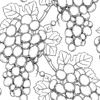 Sorunsuz üzüm desen vektör çizim