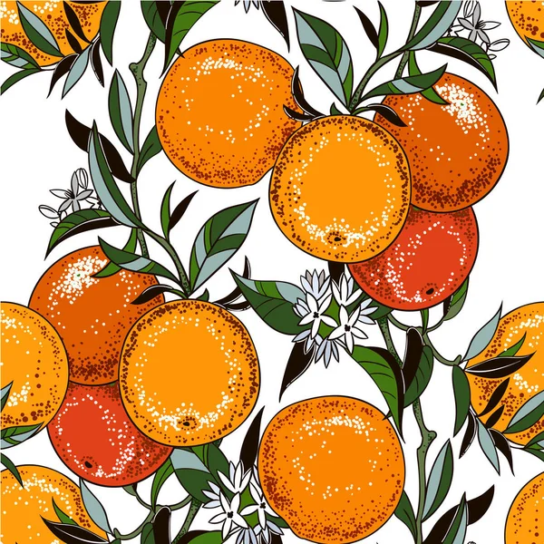 Vector Illustration Orange Tree Branches Seamless Pattern Vintage Botanical Hand — Stock Vector