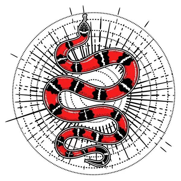手工画的复古蛇与花卉纹身艺术。矢量插图被隔离。老式设计线型。魔术炼金物体. — 图库照片