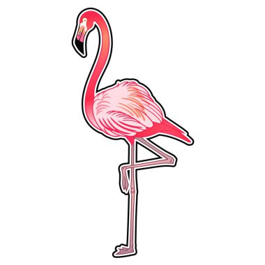 Güzel tropikal egzotik papağan kuş. Vektör çizimi.