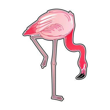 Güzel tropikal egzotik papağan kuş. Vektör çizimi.