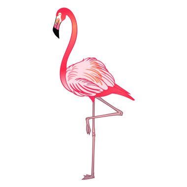 Güzel tropikal egzotik papağan kuş. Vektör çizimi.