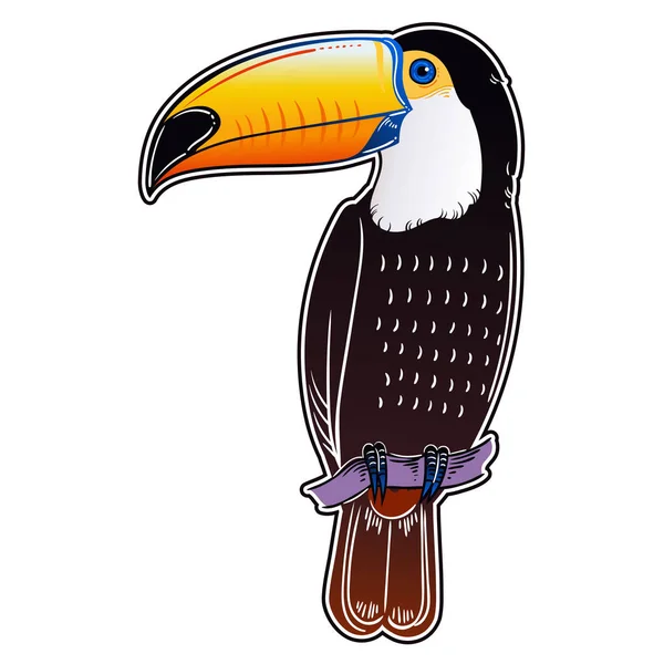 Bellissimo Uccello Esotico Tropicale Uccello Tucano Illustrazione Vettoriale — Foto Stock