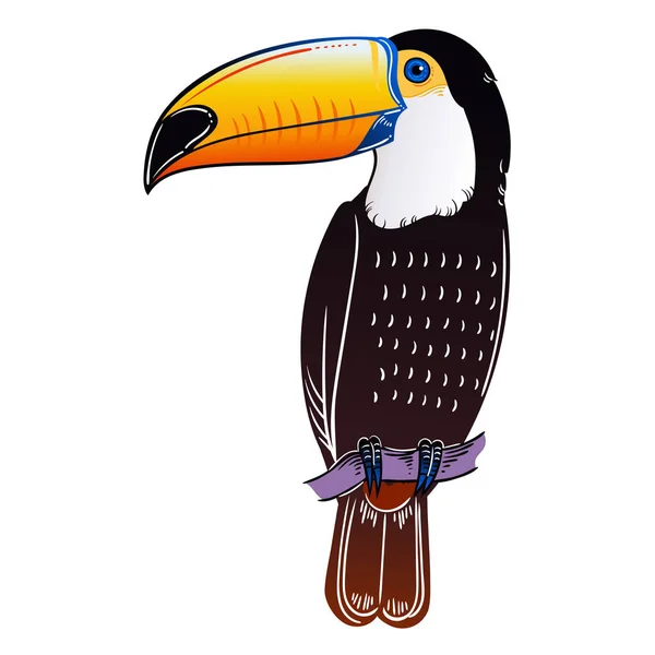 Güzel Tropikal Egzotik Kuş Tukan Kuşu Vektör Illüstrasyonu — Stok fotoğraf