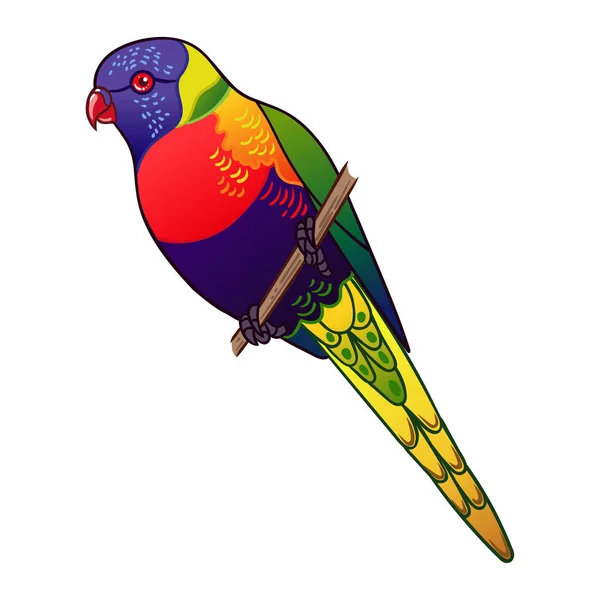 Beautiful Tropical Exotic Parrot Bird Vector Illustration — Stock Photo, Image