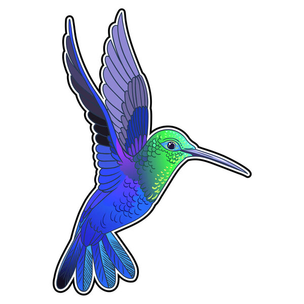 Beautiful tropical exotic parrot bird. Vector illustration.