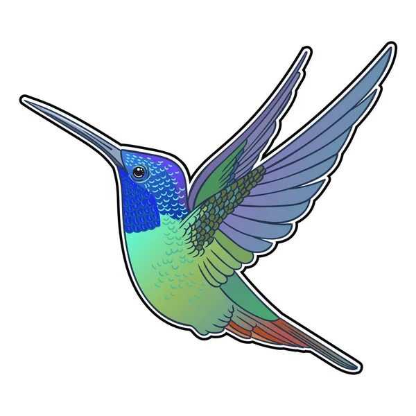 Hermoso Pájaro Loro Tropical Exótico Ilustración Vectorial — Foto de Stock