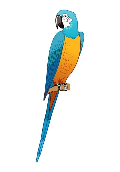 Όμορφη Τροπική Εξωτικό Πουλί Παπαγάλος Απεικόνιση Διανυσματικών Φορέων — Φωτογραφία Αρχείου