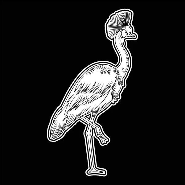 Bellissimo Uccello Tropicale Esotico Pappagallo Illustrazione Vettoriale — Foto Stock