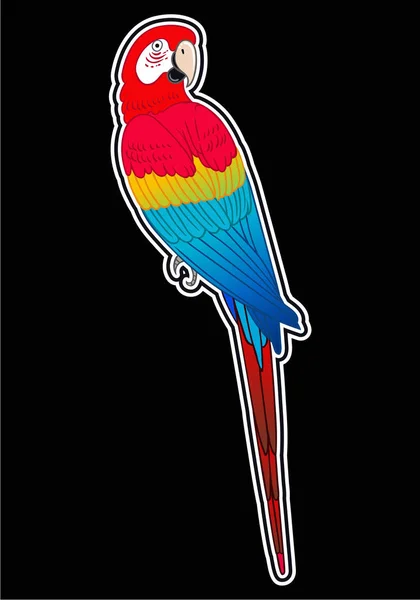 Hermoso Pájaro Loro Tropical Exótico Ilustración Vectorial —  Fotos de Stock