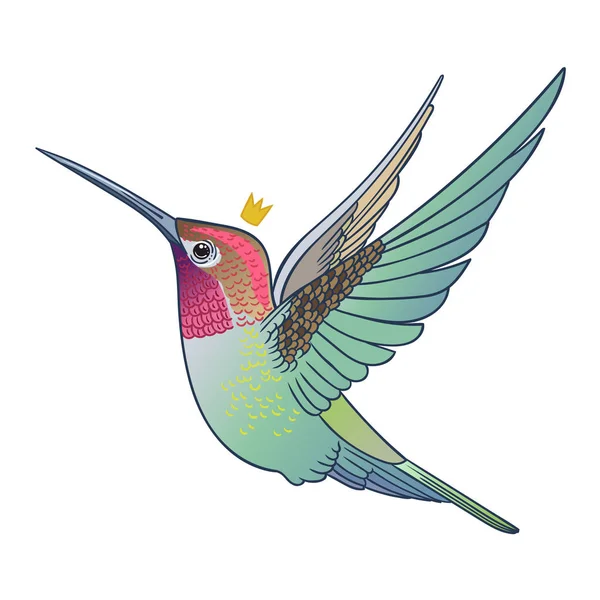 Wunderschöner Tropischer Exotischer Kolibri Vektorillustration — Stockfoto