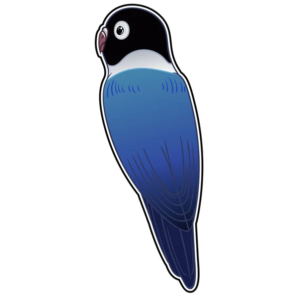 Прекрасная Тропическая Экзотическая Птица Попугая Векторная Иллюстрация — стоковое фото