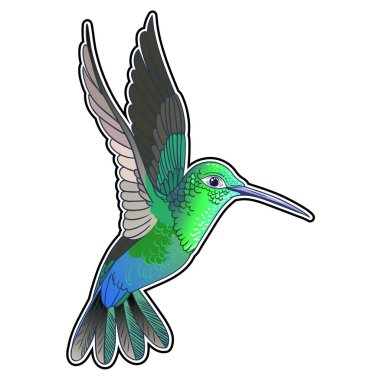 Güzel tropikal egzotik papağan kuş. Vektör çizimi.