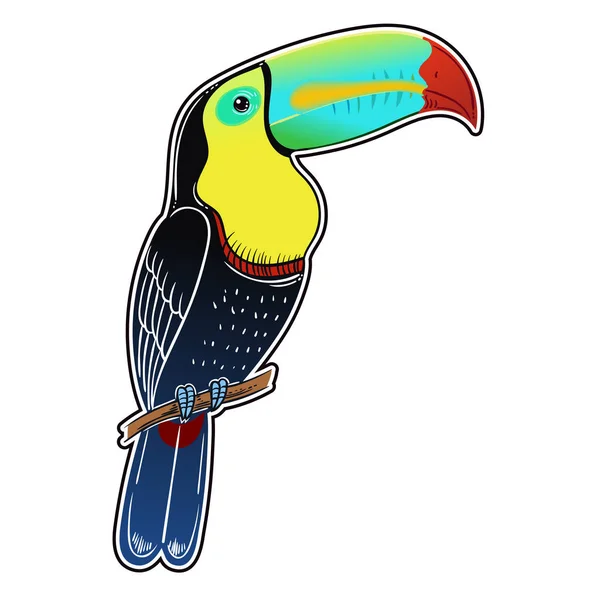 Beautiful Tropical Exotic Bird Toucan Bird Vector Illustration — Stock Photo, Image