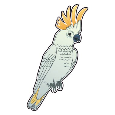 Güzel tropikal egzotik papağan kuş. Vektör çizimi.