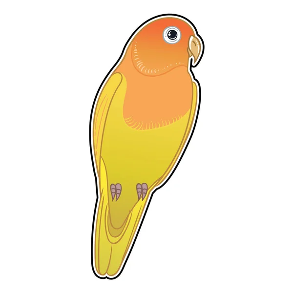 Beautiful Tropical Exotic Parrot Bird Vector Illustration — Stock Photo, Image