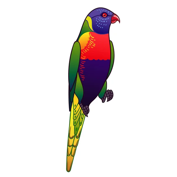 Beautiful Tropical Exotic Parrot Bird Vector Illustration — Stock Photo, Image