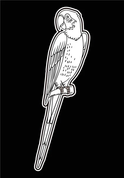美丽的热带异国情调的鹦鹉鸟 矢量插图 — 图库照片