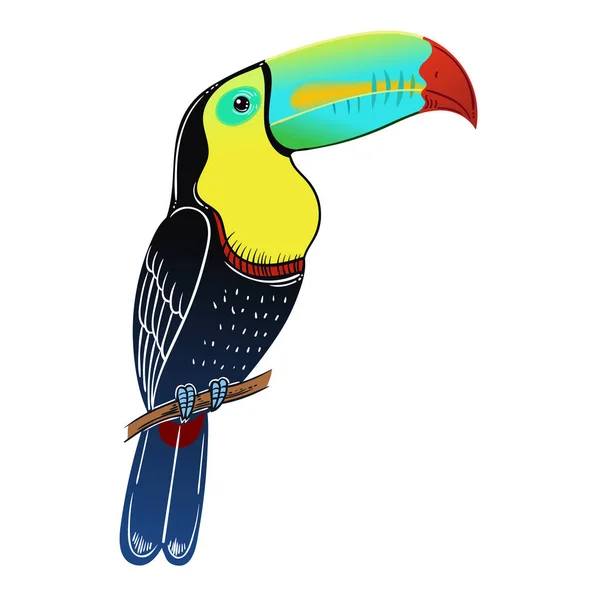 Vacker Tropisk Exotisk Fågel Toucan Fågel Vektorillustration — Stockfoto