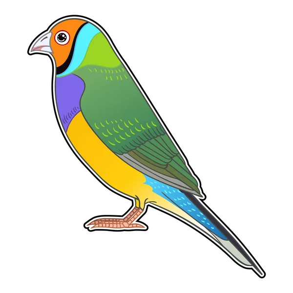 Güzel Tropikal Egzotik Papağan Kuş Vektör Çizimi — Stok fotoğraf