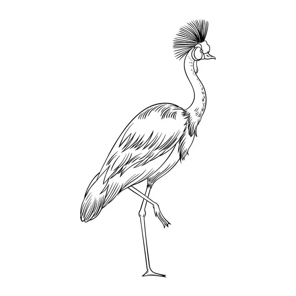 Prachtige Tropische Exotische Papegaai Vogel Vector Illustratie — Stockfoto