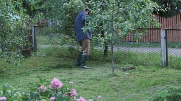 Gärtner Säubert Grünen Rasen Und Harkt Frisch Gemähtes Gras Einem — Stockvideo