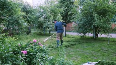 Bahçıvan yeşil çimenleri temizliyor ve bahçedeki taze kesilmiş çimenleri tırmıklıyor.