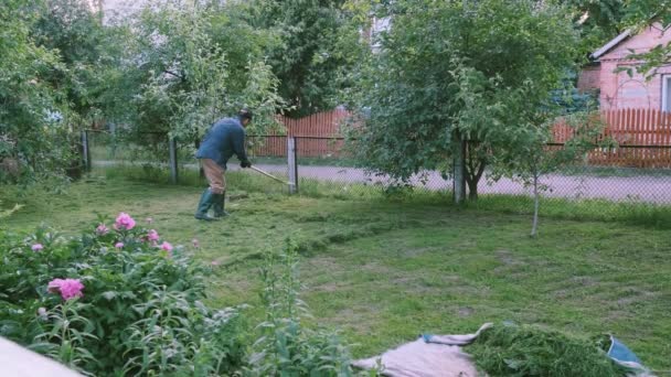 Zahradník Čistí Zelený Trávník Hrabe Hrábě Čerstvě Posekanou Trávu Zahradě — Stock video