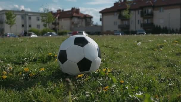 Schwarz Weißer Fußball Auf Grünem Rasen Aktivitäten Freien Sommertag — Stockvideo