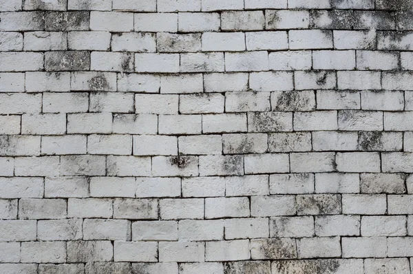 Cerca de textura de pared de ladrillo blanco Imágenes de stock libres de derechos