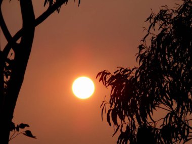 Mavi Dağlar 'daki Avustralya orman yangınlarının dumanından batan güneşin görüntüsü. 