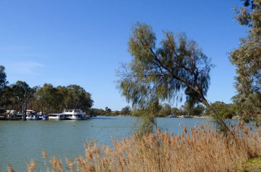 Mildura yakınlarındaki Murray Nehri manzarası, Victoria