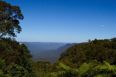 Blackheath, NSW 'den mavi dağların manzarası
