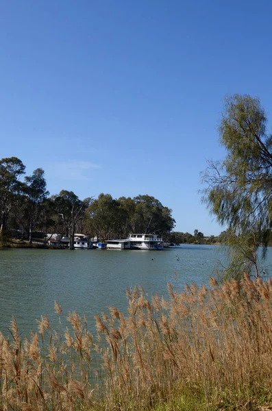 Uitzicht Murray Rivier Bij Stad Mildura Victoria Australië — Stockfoto