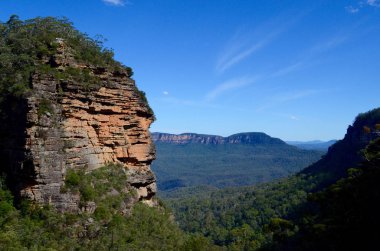Sydney, Avustralya 'nın batısındaki Leura Cascades' ten görülen Mavi Dağlar manzarası.