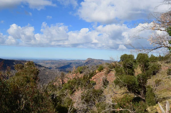 Вид Warrumbungle Ranges Біля Coonabarabran Nsw — стокове фото