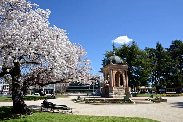 Bathurst, NSW 'deki Machattie Park manzarası.