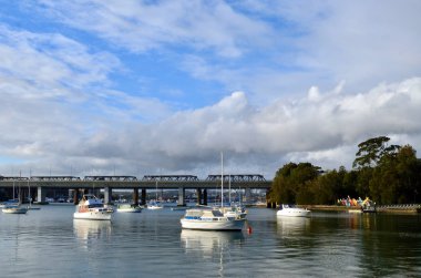 Sydney 'nin Balmain limanındaki teknelerin deniz manzarası.