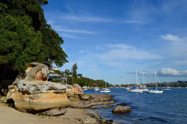 View Sydney Harbor Coastline Rose Bay — Stock Photo, Image