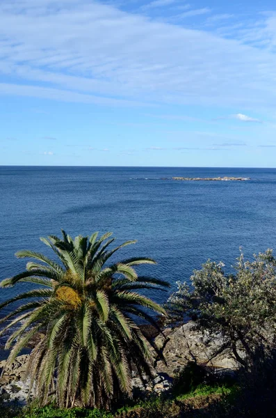 Una Vista Desde Promontorio Coogee Sydney Con Vistas Wedding Cake — Foto de Stock