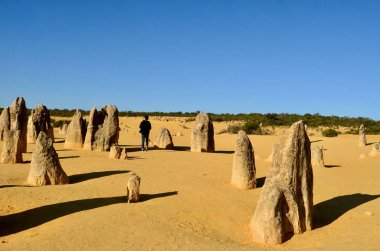 Batı Avustralya 'daki Cervantes yakınlarındaki Pinnacles manzarası