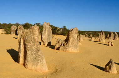 Batı Avustralya 'daki Cervantes yakınlarındaki Pinnacles manzarası